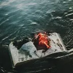 Pochette Remember Me