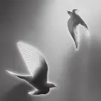 Pochette Doves, '25 on Blank Canvas