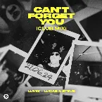 Pochette Can’t Forget You