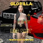 Pochette Big Shit