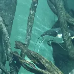 Pochette Moments Before Drowning
