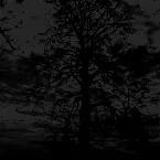 Pochette Demo Session - VI - Rebirth Ritual in C Minor