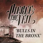 Pochette Bulls in the Bronx