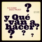 Pochette ¿Y qué van a hacer?