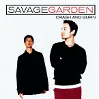 Pochette Crash and Burn