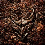 Pochette Light Bends