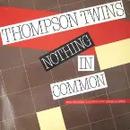 Pochette Nothing in Common