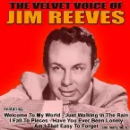 Pochette The Velvet Voice of Jim Reeves