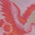 Pochette Nirvana