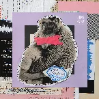 Pochette Noise Cancelling