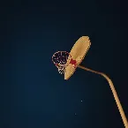 Pochette Broken Arrow