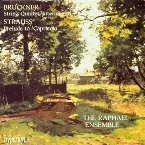 Pochette Bruckner: String Quintet / Richard Strauss: Capriccio