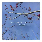 Pochette En La Línea (Rainy Afternoon Mix)