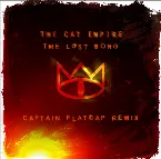 Pochette The Lost Song (Captain Flatcap remix)