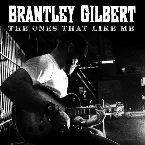 Pochette The Ones That Like Me