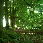 Pochette European Woodland Series: Beech Wood