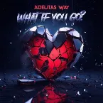 Pochette What if you go?