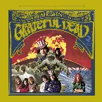 Pochette The Grateful Dead