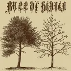 Pochette 078: Objective Contempt, Objective Conscience