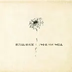 Pochette I Wish You Well