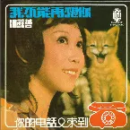Pochette 我不能再想你 / 你的電話又來到