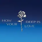 Pochette How Deep Is Your Love