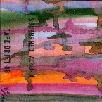 Pochette Acid-X