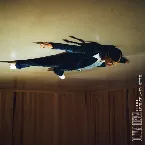 Pochette Echo (Live At Lafayette)