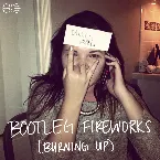Pochette Bootleg Fireworks (Burning Up)
