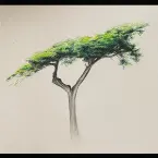 Pochette When the Wind Blew Through Your Branches