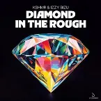 Pochette Diamond in the Rough