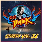Pochette Covers Vol. 34