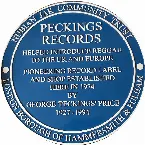 Pochette The Skatalites in Dub