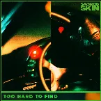 Pochette Too Hard To Find