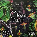 Pochette Vida