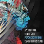Pochette Psychic Experience (Captain Hook remix)