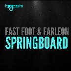 Pochette Springboard