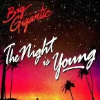 Pochette The Night Is Young