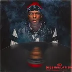 Pochette Dissimulation
