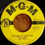 Pochette The Road of Life Alone