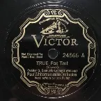 Pochette True / The Moonlight Waltz