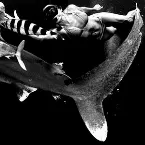 Pochette Necrotik Fissure / The Rita