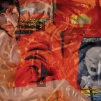 Pochette Mission Invisible