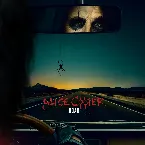 Pochette Road