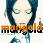 Pochette marigold