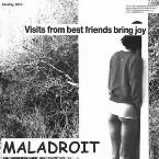 Pochette Visits From Best Friends Bring Joy