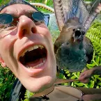 Pochette Fly like a bird & be rich