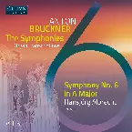 Pochette The Symphonies Organ Transcriptions, Vol. 6: Symphony no. 6 in A major