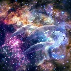 Pochette Cosmic Dolphin