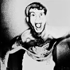 Pochette Here Come the Wolves